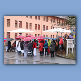faschingszug-047.jpg
