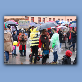 faschingszug-092.jpg